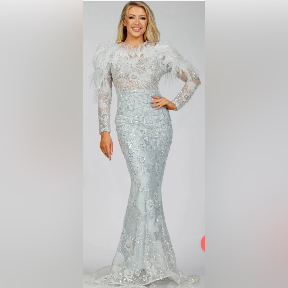 Brand: Terani couture
Size: 12 Retail price: 1100 Price being sold for: 700